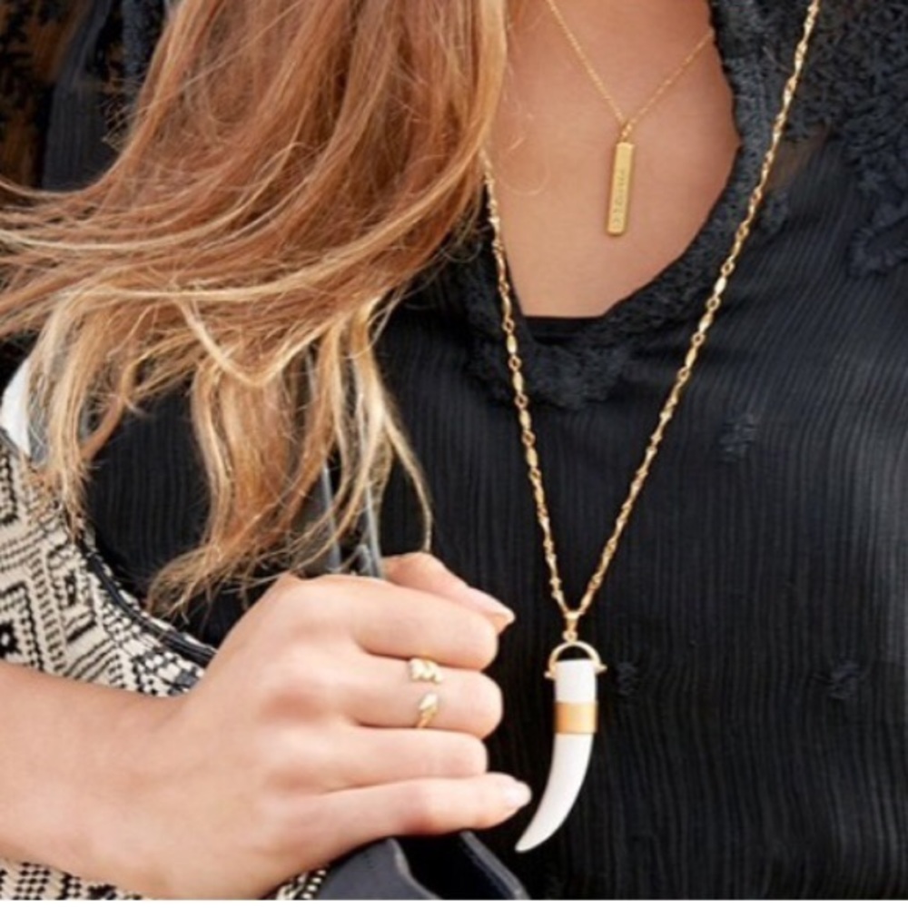Stella & Dot Sabertooth Necklace